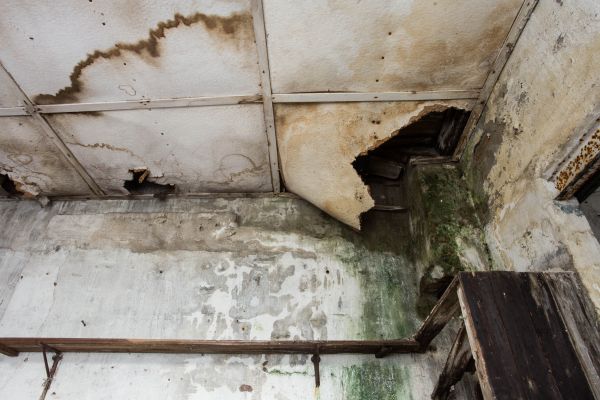 Water Damage Service in Anderson