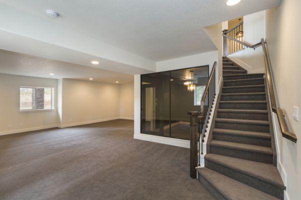 Basement Restoration Service in Anderson
