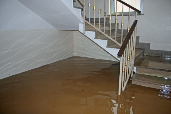 Storm Damage Restoration in Anderson