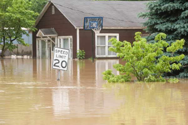 Storm Restoration Service in Anderson