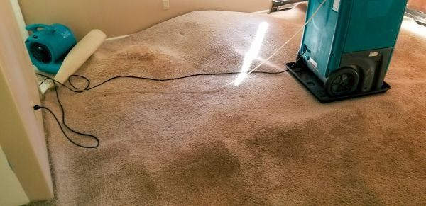 Flood Damage Cleanup in Anderson
