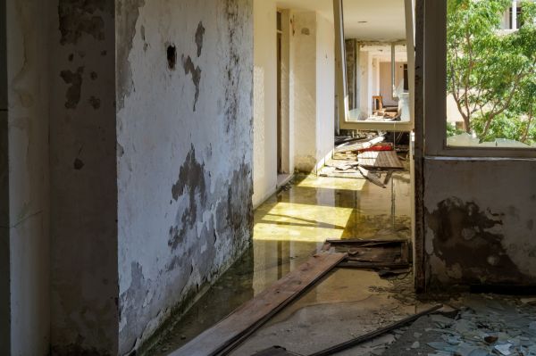 Water Removal Service in Anderson