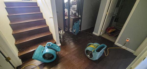 Water Damage Remediation in Anderson