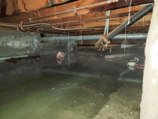 Water Mitigation Service in Anderson