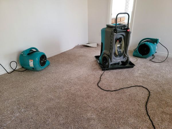 Water Damage Repair in Anderson