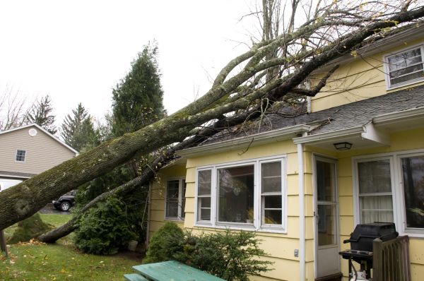 Hurricane Damage Repair in Anderson